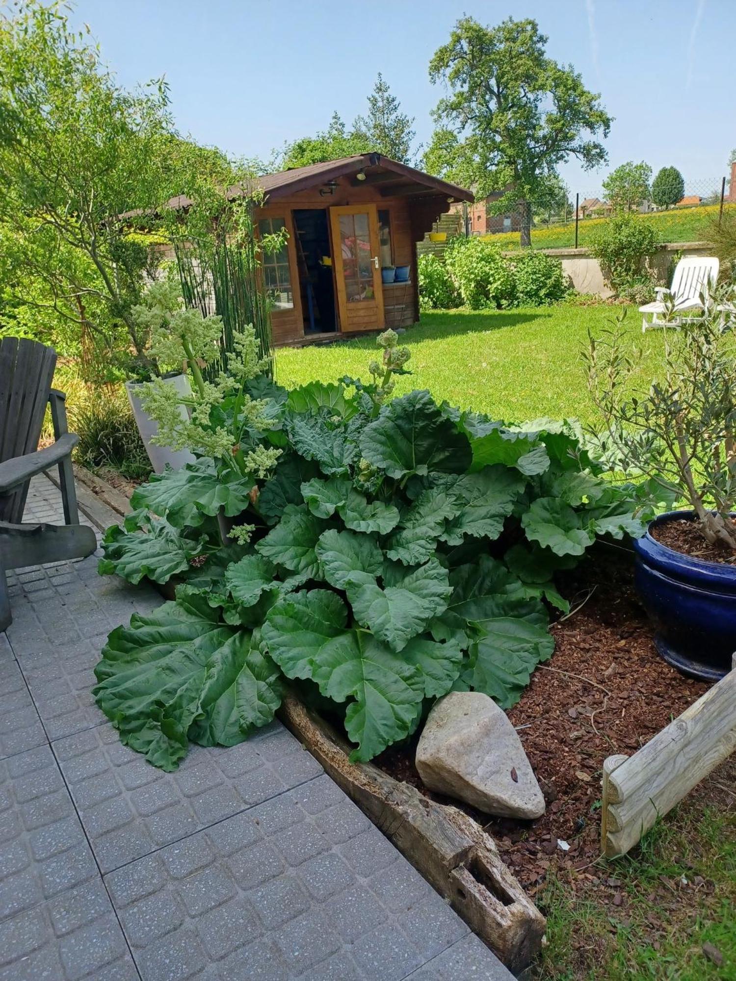 Lin et l'hôte Preaux Extérieur photo